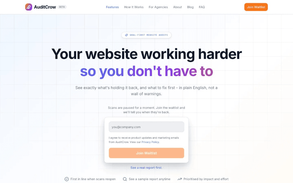 Screenshot of AuditCrow audit tool homepage