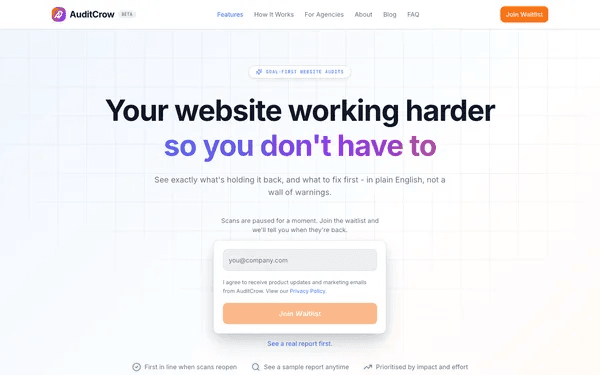 Screenshot of AuditCrow audit tool homepage