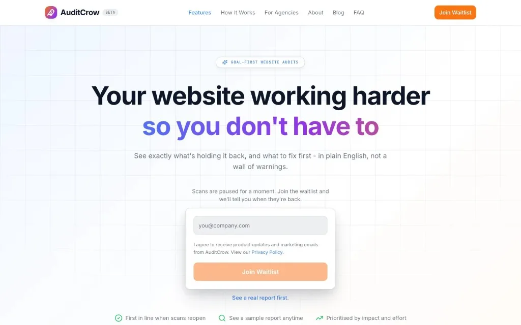 Screenshot of AuditCrow audit tool homepage